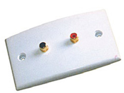Speaker wall plates with 2binding post